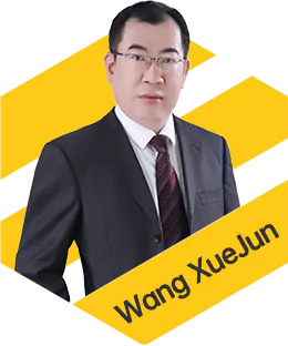 Wang XueJun')}} Wang XueJun
